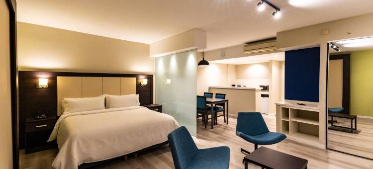 Holiday Inn Express 罗萨里奥(Holiday Inn Express Rosario)图片