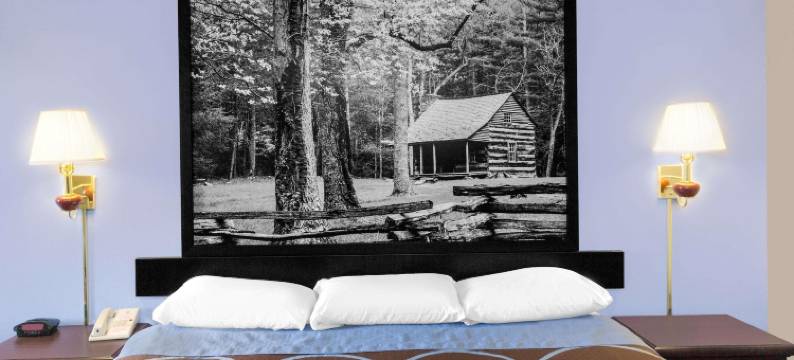 怀特维尔速8酒店(Super 8 by Wyndham Whiteville)图片