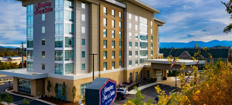 阿什维尔比特摩尔区希尔顿欢朋套房酒店(Hampton Inn & Suites Asheville Biltmore Area)图片