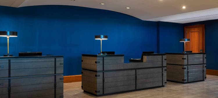 亚特兰大机场康考斯万丽酒店(Renaissance Concourse Atlanta Airport Hotel)图片