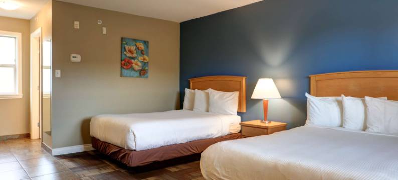 维德河酒店(Vedder River Inn)图片