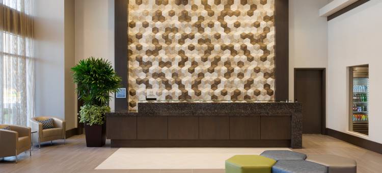 哈格斯兰丁伍德兰斯希尔顿安泊酒店(Embassy Suites by Hilton the Woodlands® at Hughes Landing)图片