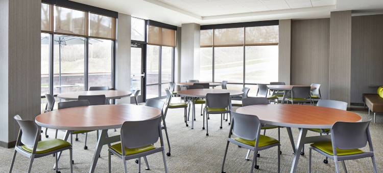 哥伦布/都柏林SpringHill Suites酒店(SpringHill Suites Columbus Dublin)图片