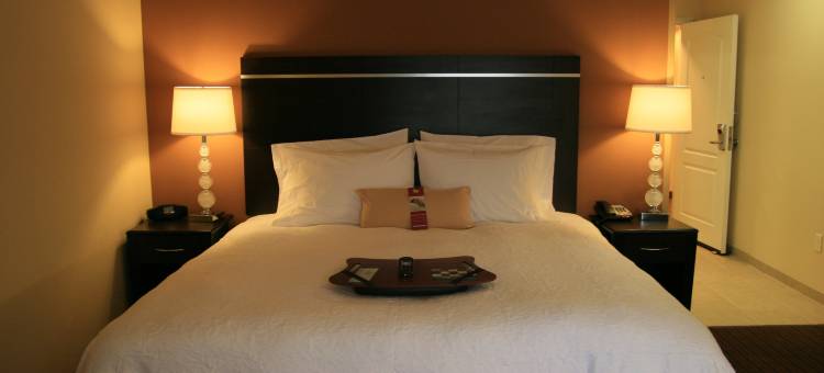 希尔顿欢朋酒店-拉詹塔(Hampton Inn la Junta)图片