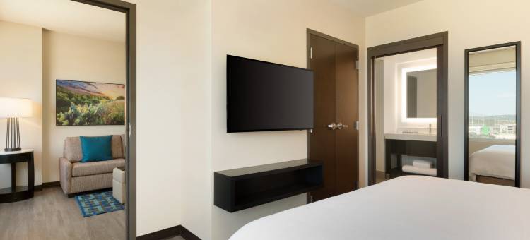 圣安东尼奥地标希尔顿安泊酒店(Embassy Suites by Hilton San Antonio Landmark)图片