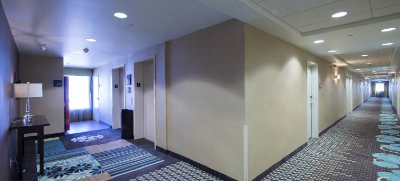 萨斯卡通南希尔顿欢朋酒店(Hampton Inn by Hilton Saskatoon South)图片