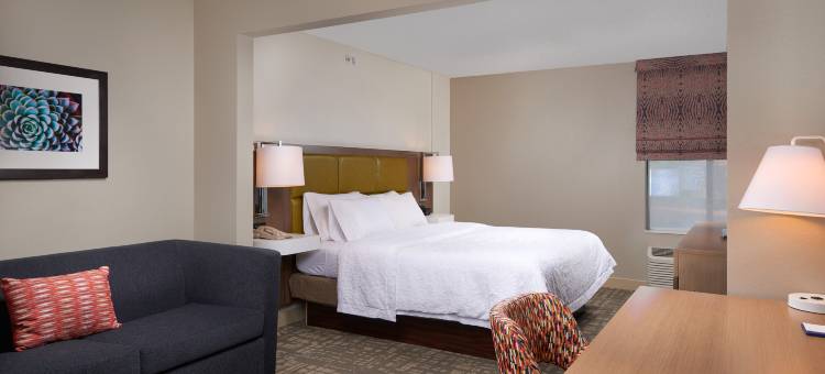 凤凰城安瑟欢朋酒店(Hampton Inn Phoenix/Anthem)图片