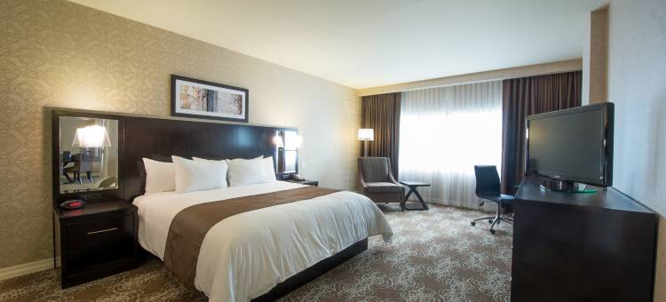 宾汉顿希尔顿逸林酒店(DoubleTree by Hilton Binghamton)图片