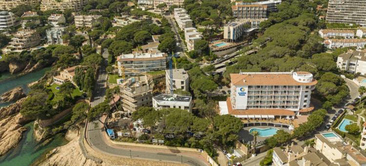 依昂卡莱塔公园酒店(Ilunion Caleta Park)图片