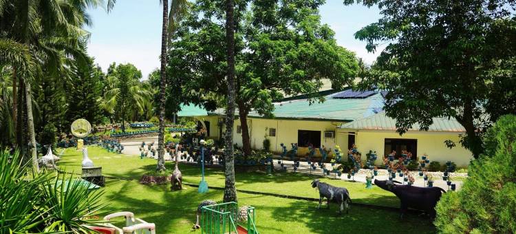 隐藏谷山和波浪泳池度假村(Hidden Valley Mountain and Wavepool Resort)图片