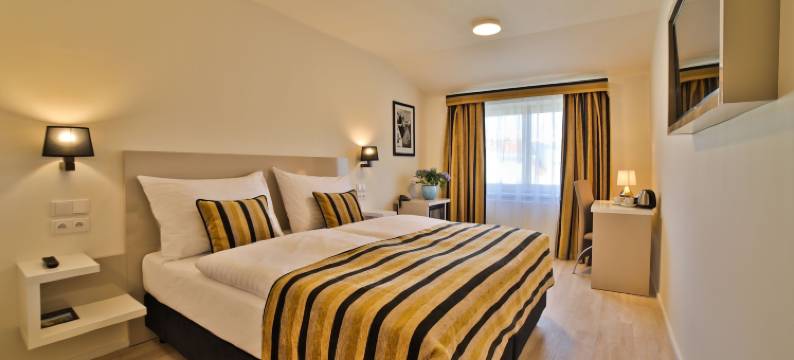 阿里斯顿阿里斯顿沁园酒店(Hotel Ariston Prague)图片