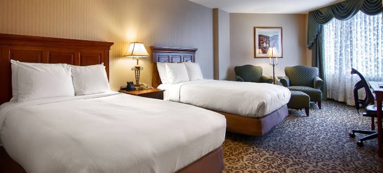 莱尔内珀维尔希尔顿逸林酒店(DoubleTree by Hilton Lisle Naperville)图片