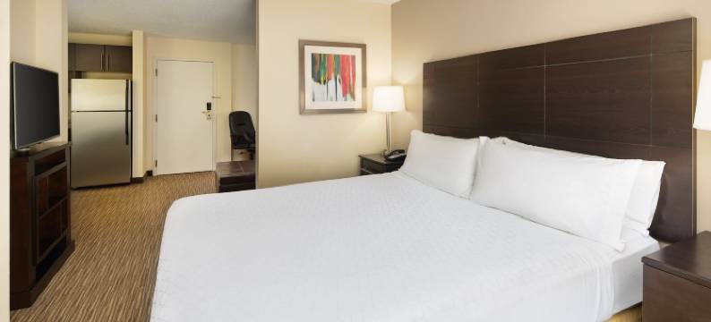 阿尔普哈雷塔智选假日酒店(Holiday Inn Express & Suites ALPHARETTA - WINDWARD PARKWAY by IHG)图片