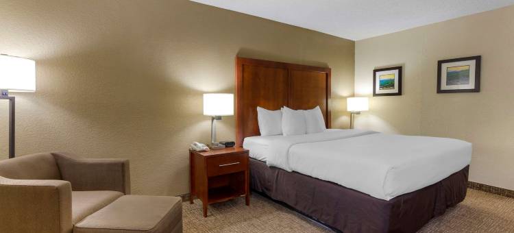 布卢菲尔特舒适酒店(Comfort Inn)图片