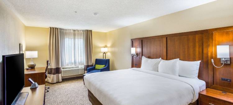 舒适酒店(Comfort Inn)图片