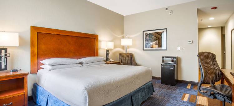 温德姆酒店-新奥尔良法国区(Wyndham New Orleans - French Quarter)图片