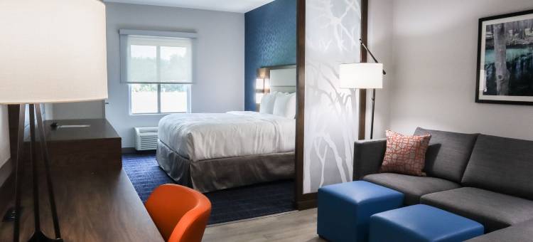 盖恩斯维尔大学附近舒适套房酒店(Comfort Suites Gainesville Near University)图片