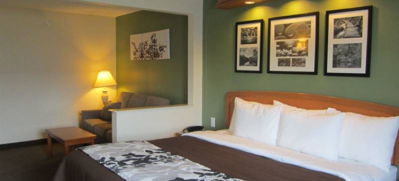 克拉丽奥波因特阿尔贝马尔(Clarion Pointe Albemarle)图片