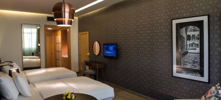 贝鲁特凡尔登丽笙酒店(Radisson Blu Hotel, Beirut Verdun)图片