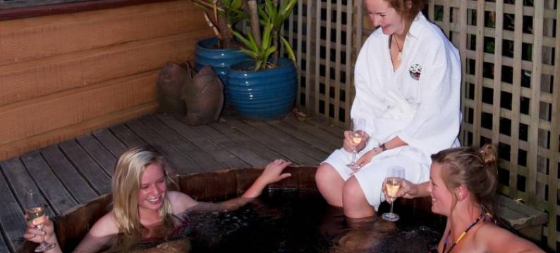 特瓦讷卡旅馆(Te Wanaka Lodge)图片