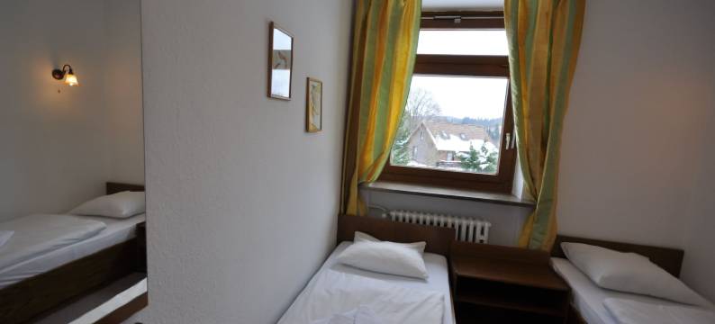 德雷巴林酒店(Hotel & Hostel Drei Bären)图片