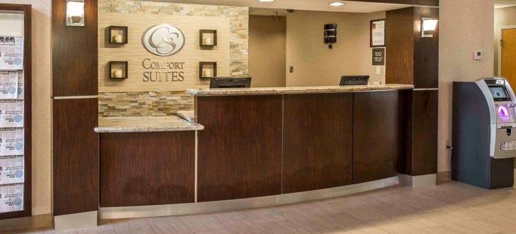 斯帕福德附近舒格兰舒适套房酒店(Comfort Suites Stafford Near Sugarland)图片