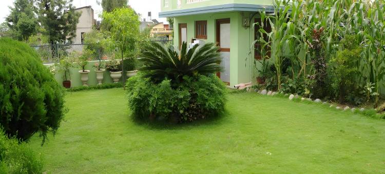 生态家庭旅馆(Eco Homestay)图片