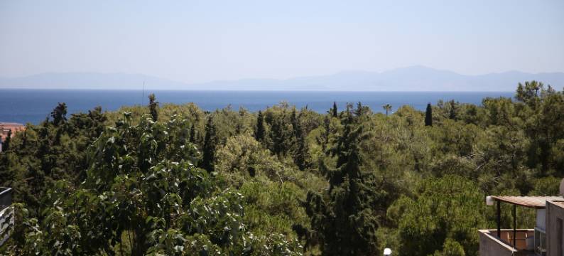 阿克塞尔精品酒店(Aksel Butik Otel)图片