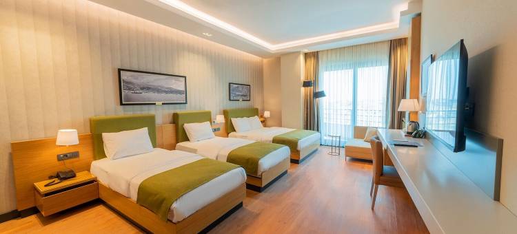 艺术酒店(Artes Hotel)图片