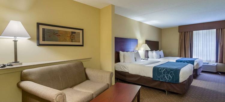 舒适套房酒店-近葛底斯堡战场游客中心(Comfort Suites Near Gettysburg Battlefield Visitor Center)图片