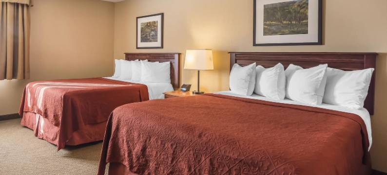 会议中心品质酒店(Quality Hotel & Conference Centre)图片