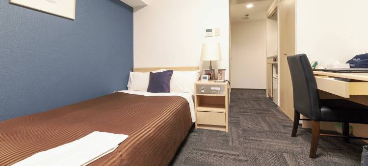 利夫马克斯经济型酒店-东京新桥店(HOTEL LiVEMAX BUDGET Shinbashi)图片