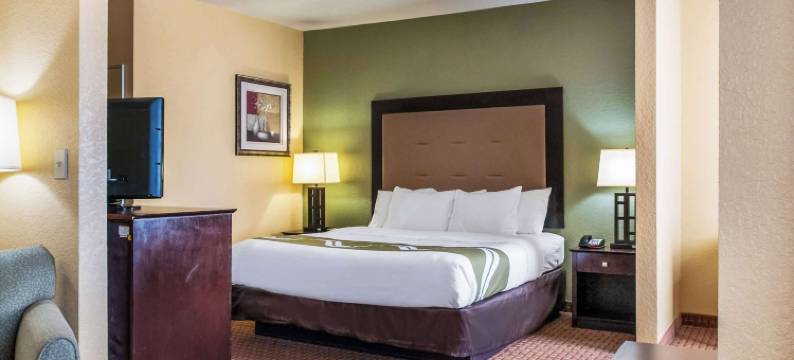 斯莱德尔品质套房酒店(Quality Inn & Suites Slidell)图片