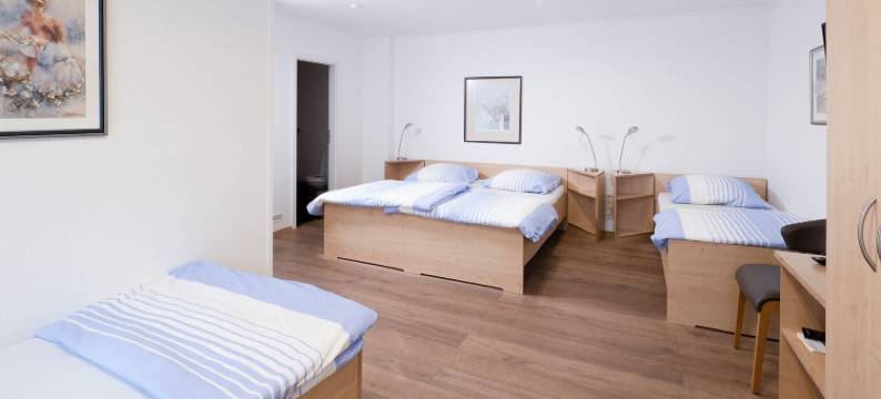 Brenzhotel海登海姆(Brenzhotel Heidenheim)图片