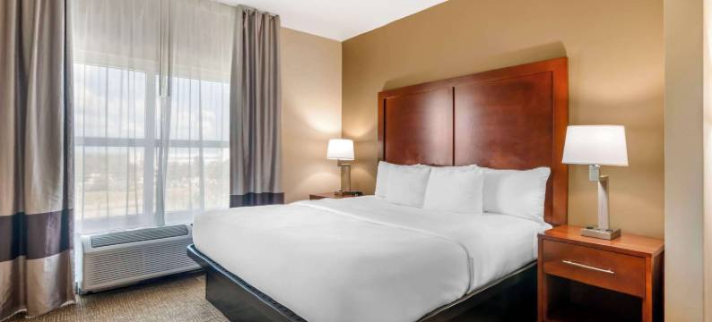 塔瓦雷斯北舒适套房酒店(Comfort Inn & Suites Tavares North)图片