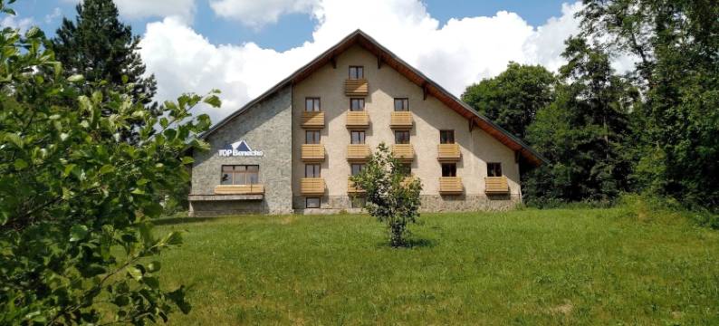 贝内茨科专业家庭酒店(ProFamily Hotel Top Benecko)图片