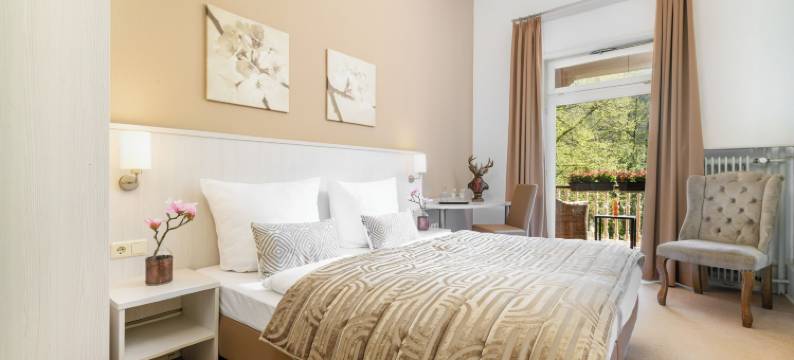 路易斯酒店(Hotel Luise)图片