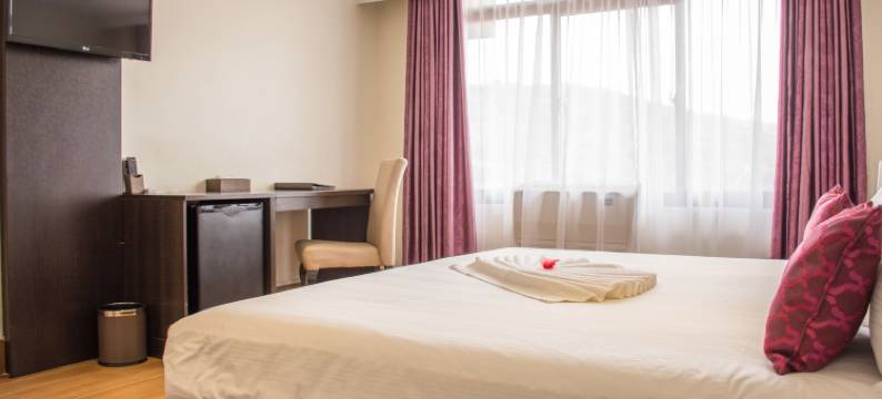 格利安酒店(Gelian Hotel)图片