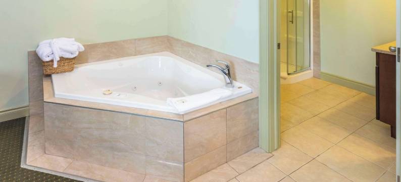 怀特考特戴斯套房酒店(Quality Inn & Suites)图片