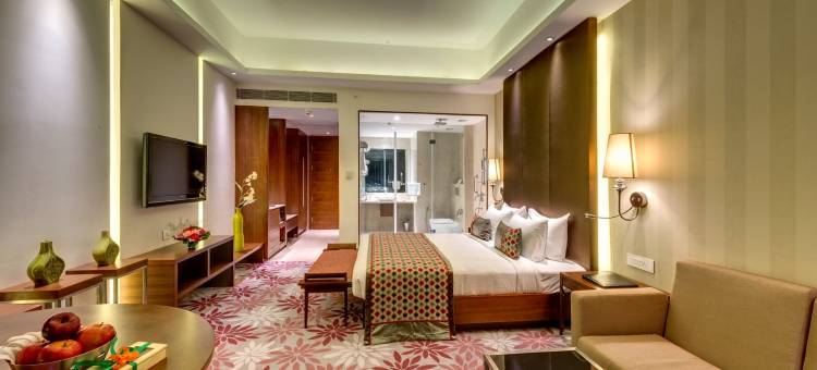 普莱德广场酒店-加尔各答(Pride Plaza Hotel, Kolkata)图片