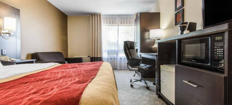 舒适酒店(Comfort Inn)图片