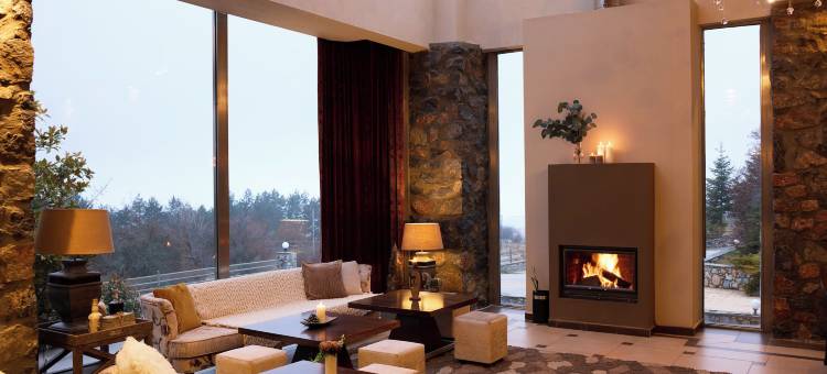 奈维山多莫特度假酒店(Domotel Neve Mountain Resort)图片