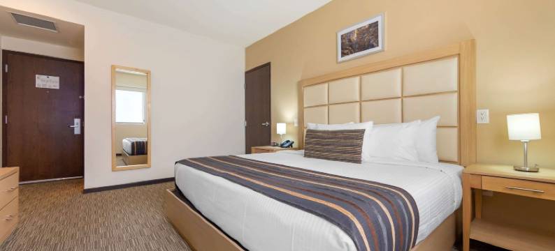 蒙特雷圣佩德罗舒眠酒店(Sleep Inn Monterrey San Pedro)图片