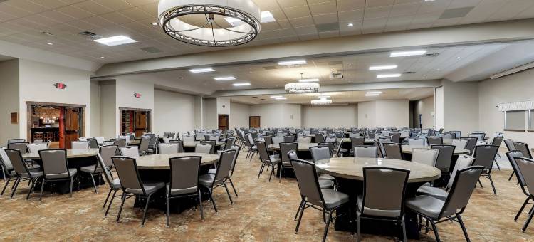 斯托尼溪会议中心及酒店-拉克罗斯(Stoney Creek Hotel la Crosse - Onalaska)图片