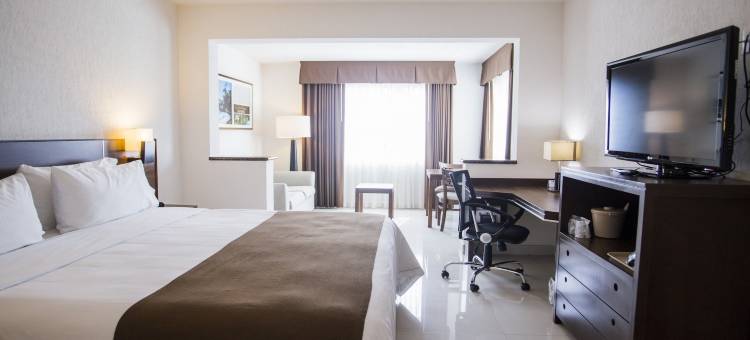 Holiday Inn Express 图斯特拉 - 古铁雷斯(Holiday Inn Express Tuxtla Gutierrez la Marimba)图片