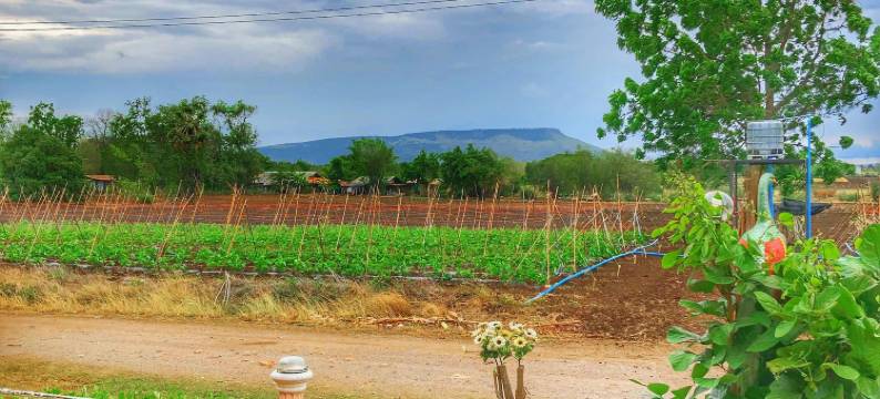 莫拉克度假村(Mourakot Resort)图片