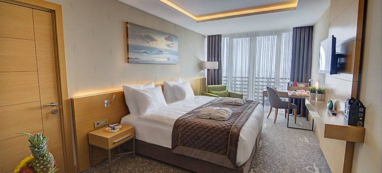 布尔萨瑟基尔吉温德姆华美达温泉 Spa 酒店(Ramada by Wyndham Bursa Çekirge Thermal & Spa)图片