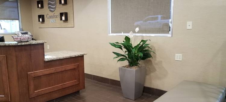 孟菲斯市中心舒适酒店(Comfort Inn Memphis Downtown)图片