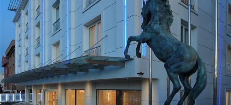 安卡拉阿特利酒店(Atli Hotel Ankara)图片