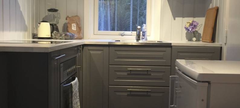 海姆瑟达尔舒适村舍酒店(Koselig Hytte I Hemsedal)图片